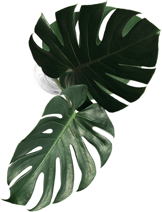 image from rawpixel id 2353079 png 1